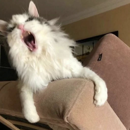 Sticker cringe_animals - 1