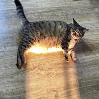 Стикер CriNgE AnimALs - 2