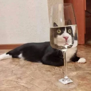 Стикер CriNgE AnimALs - 1