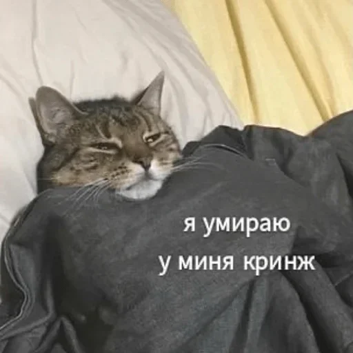 Стикер cringe_day - 1