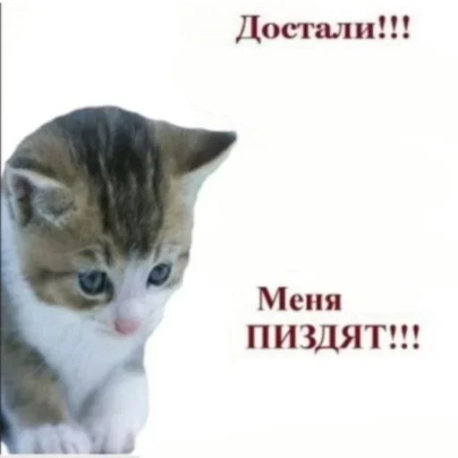 Sticker cringecringecringe1 - 1