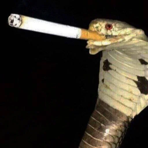 Sticker cringecringecringe1 - 1