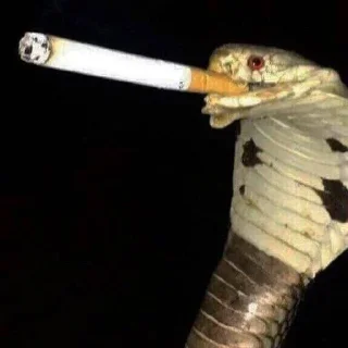 Стикер cringe - 8