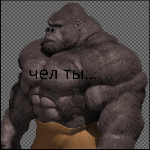 mammal great ape monkey