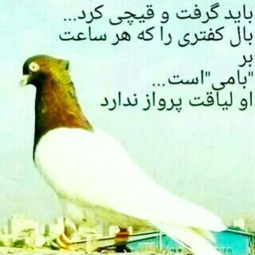 Sticker cringememes_by_stickers_stealer_bot - 1