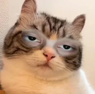 Sticker Взято из:@st1ckers4u - 3