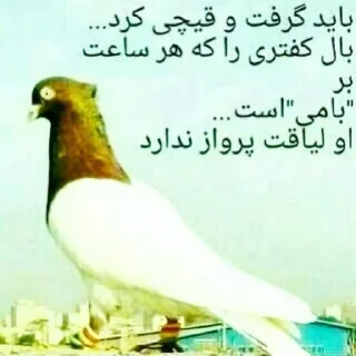 Sticker Взято из:@st1ckers4u - 10