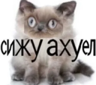 Sticker Взято из:@st1ckers4u - 9