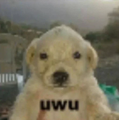 Sticker crirBFTQVfmqkHQNm_by_stickers_stealer_bot - 1