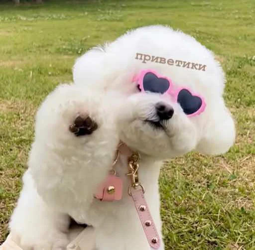 дитя крохи - 