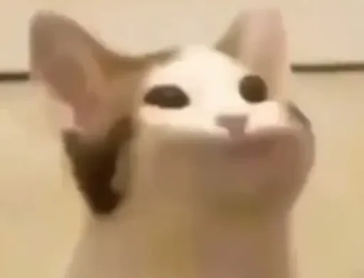 Sticker cryingbananacat - 1