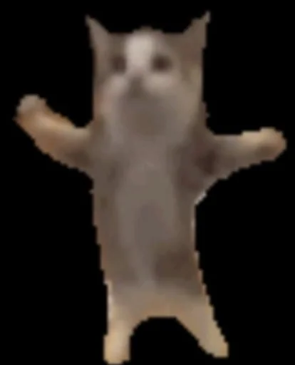 Sticker cryingbananacat - 1