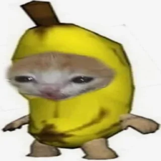 Sticker banana cat - 1