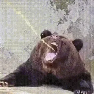 Стикер Крипта - говно - 8