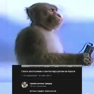 Sticker cryptoхуета @CRPT_VISION - 1