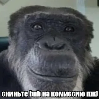 Sticker cryptoхуета @CRPT_VISION - 3