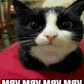 Стикер @INCS2 - 6