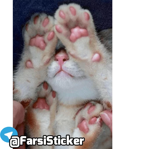 Sticker @farsisticker - 11