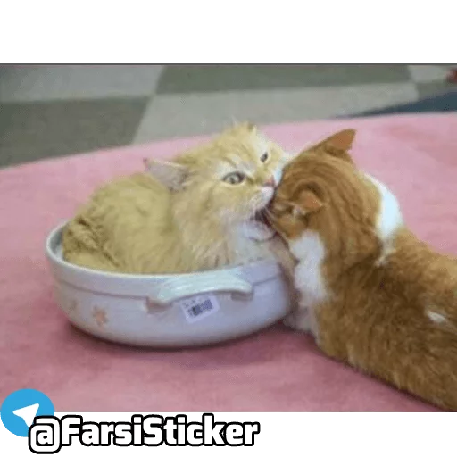 Sticker @farsisticker - 10