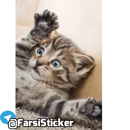 Sticker @farsisticker - 7