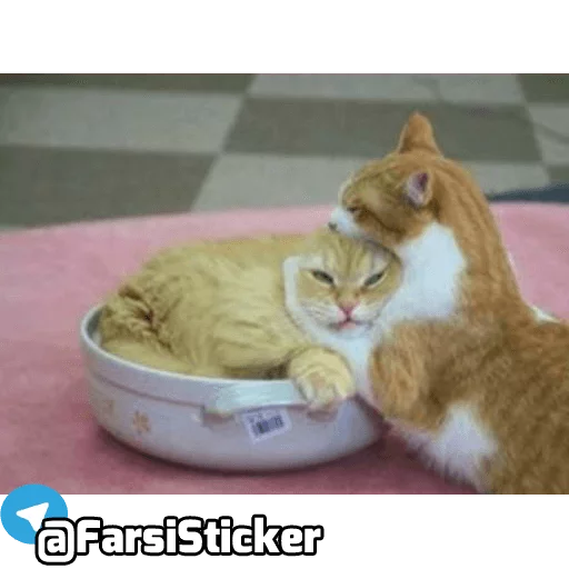 Sticker @farsisticker - 5