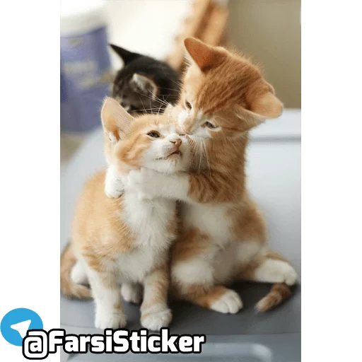 Sticker @farsisticker - 4