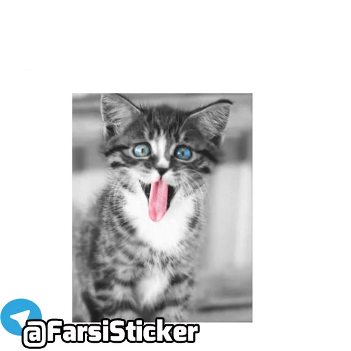 Sticker @farsisticker - 2