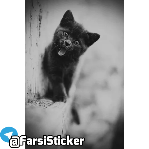 Sticker @farsisticker - 1