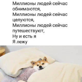 Sticker Больше стиков тут: @stikery4 - 9