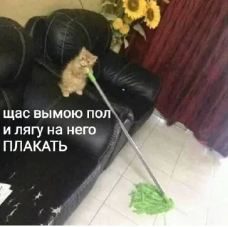 Sticker Больше стиков тут: @stikery4 - 1