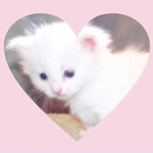 Больше стиков тут: @gostikers - 