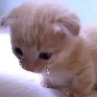 Sticker Больше стиков тут: @gostikers - 4