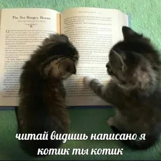 Sticker Больше стиков тут: @gostikers - 5