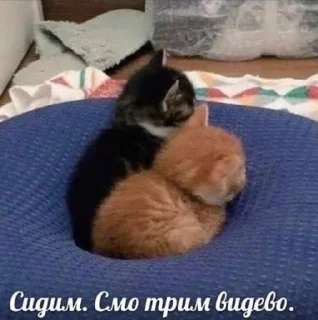 Sticker Больше стиков тут: @gostikers - 1