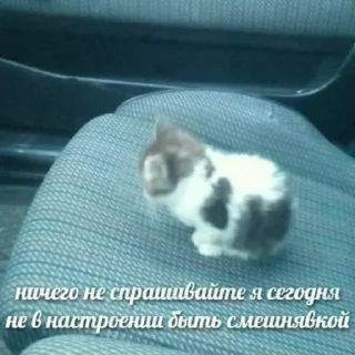 Sticker Больше стиков тут: @gostikers - 9