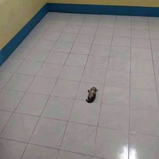 этаж комнатный стена