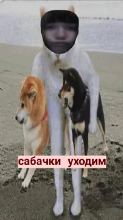 Стикер огурчик - 6