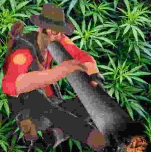 Стикер cult_of_weed - 1