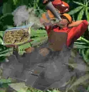 Стикер Weed Cult - 4