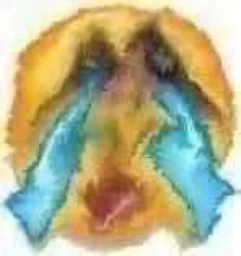 sketch painting drawing