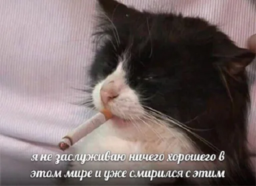 Sticker cursedmysh - 8