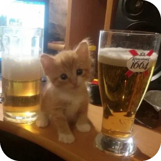 Стикер curvatura - 1