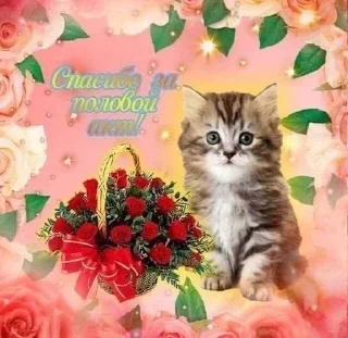 Sticker Cute Cats @anime4_arts - 5