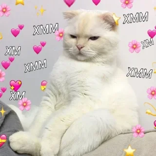 Sticker Cute Cats @anime4_arts - 0