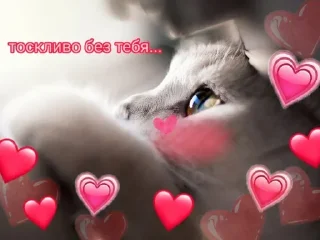 Sticker Cute Cats @anime4_arts - 6