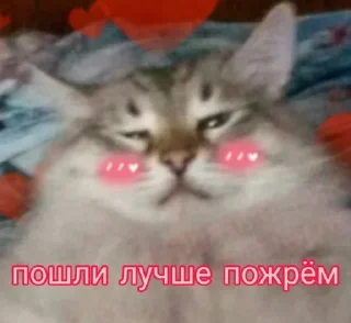 Sticker Cute Cats @anime4_arts - 11