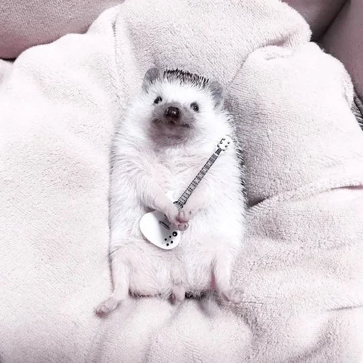 комнатный Белый младенец