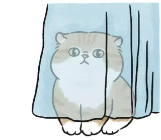 Стикер kotyashi - 1