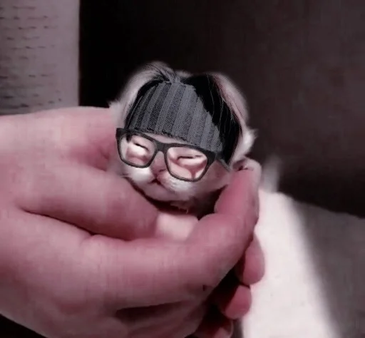 Человек очки игрушка