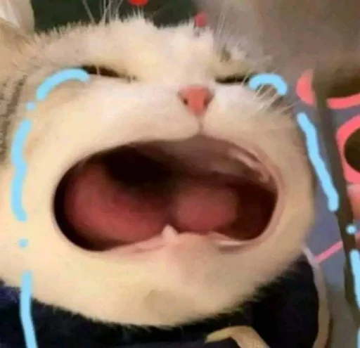 Sticker cutecatbynhyunn - 1